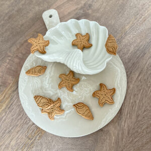 Sea Shells
